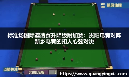 标准场国际邀请赛升降级附加赛：贵阳电竞对阵新乡电竞的扣人心弦对决